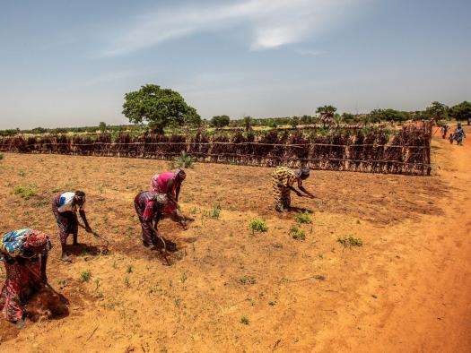 Farmers cultivate their land near the village of Riko in Katsina State amid a drought.