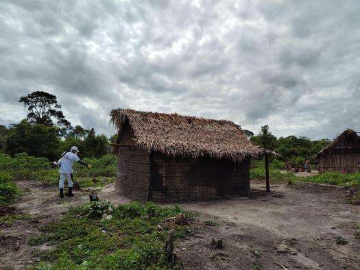 An MSF staff member is walking through a rural area to a hut with a thatched roof. 
