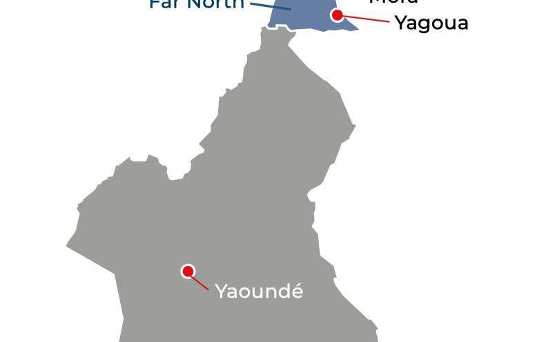 Cameroon IAR map 2024