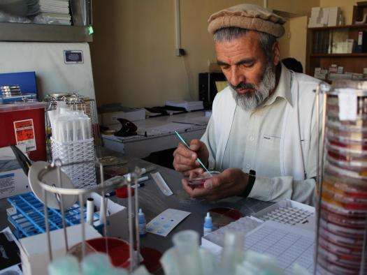 Dr Wardak Abdul Qayoum assists the expat microbiologist in supervising the team and carrying out isolation, identification and sensitivity testing of the 3000 bacterial strains expected. He uses a plastic loop to take a colony of bacteria from the culture plate.