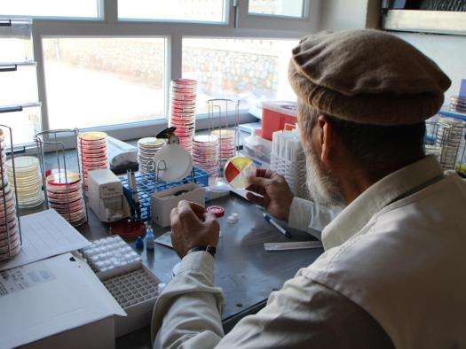Dr Wardak Abdul Qayoum observes a culture plate to find an interesting bacterial strain in the laboratory in Boost Hospital, Lashkar Gah, Helmand, Afghanistan. 