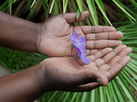 Hands cradle a purple flower in Italy. 